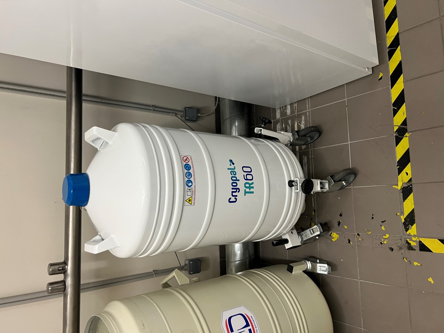 CRYOPAL TR60 - 60L Liquid nitrogen storage (2025)